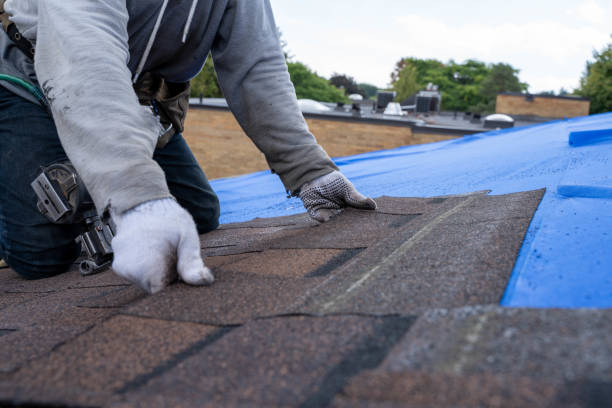 Gutter Installation and Roofing in Big Sandy, TX